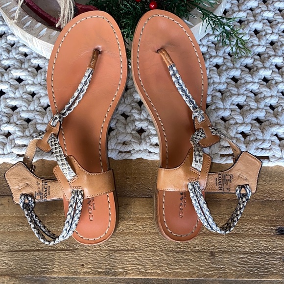Coach Shoes - Coach Snakeprint Sandals